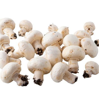 Шампиньоны свежие 500 г - купить в Муцалауле